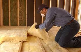 Best Garage Insulation in Minorca, LA