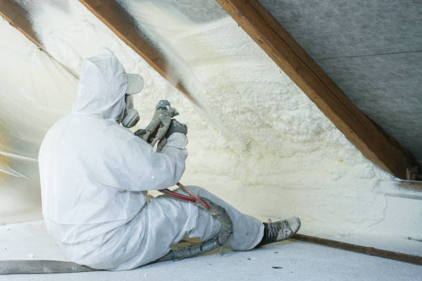 Best Commercial Insulation Services in Minorca, LA