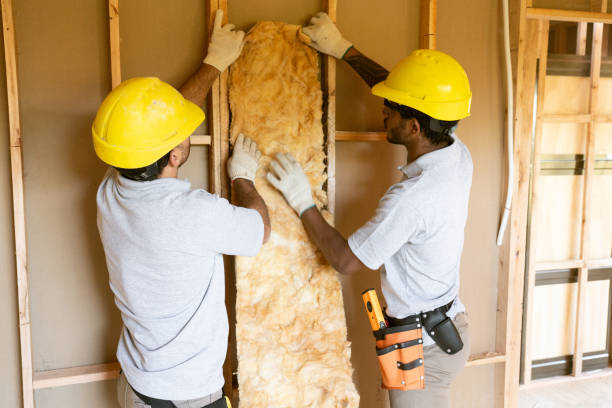 Best Insulation Air Sealing in Minorca, LA