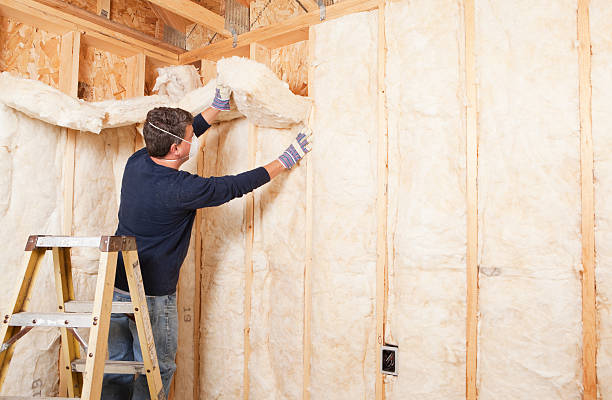 Types of Insulation We Offer in Minorca, LA